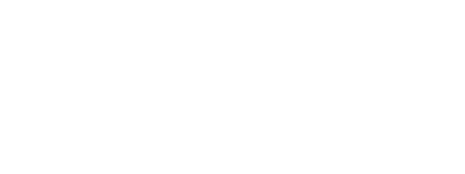 Wład-Trans